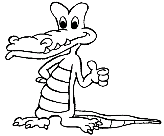 Alligaattorit ja Krokotiilit 5
