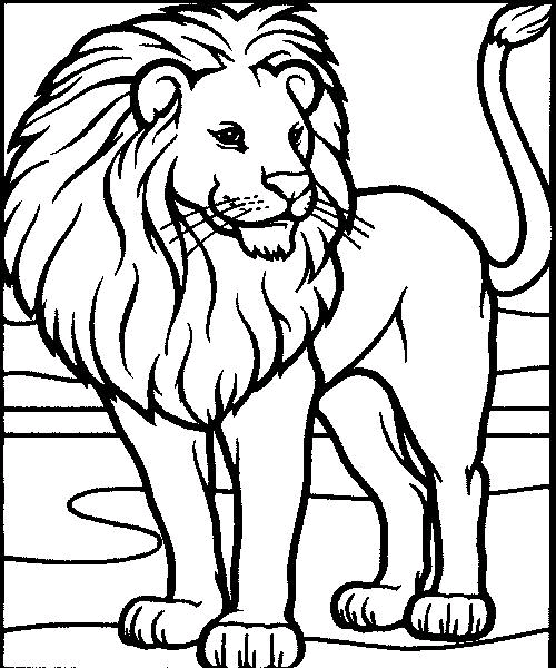 Leijonat 9