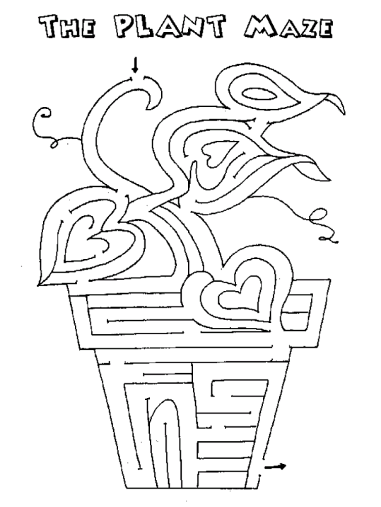 Sokkelot 6