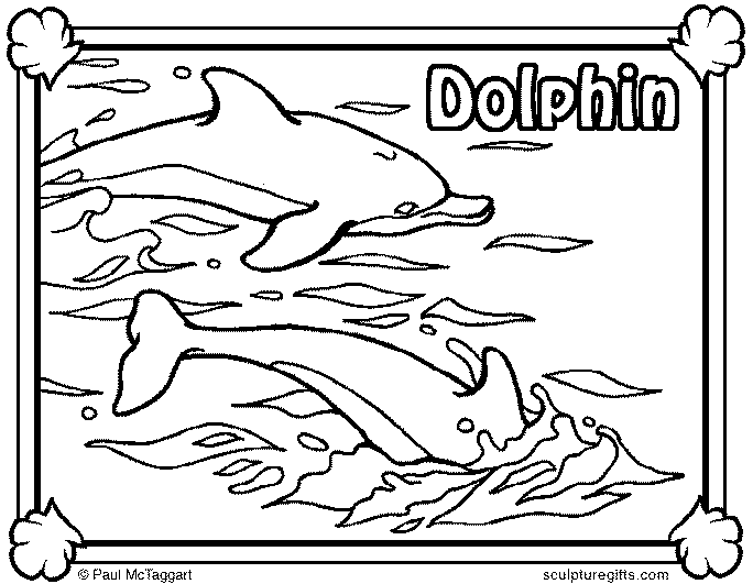 Delfiinit 13