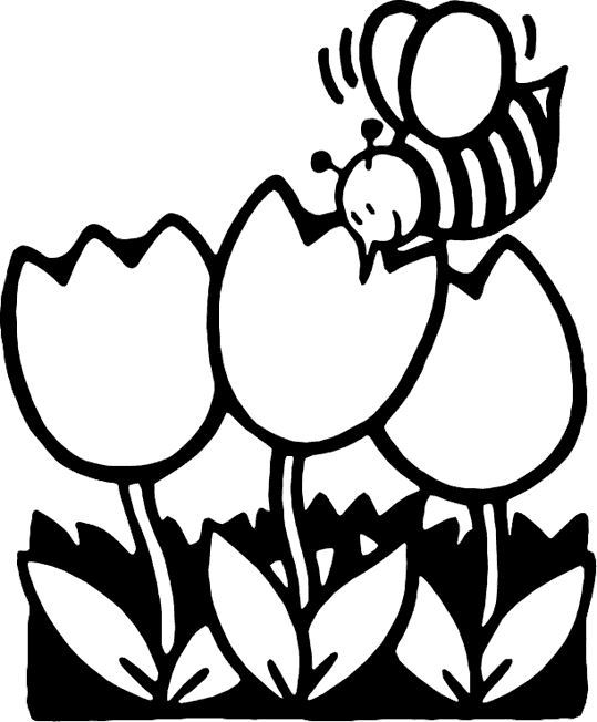 Mehiläiset 9