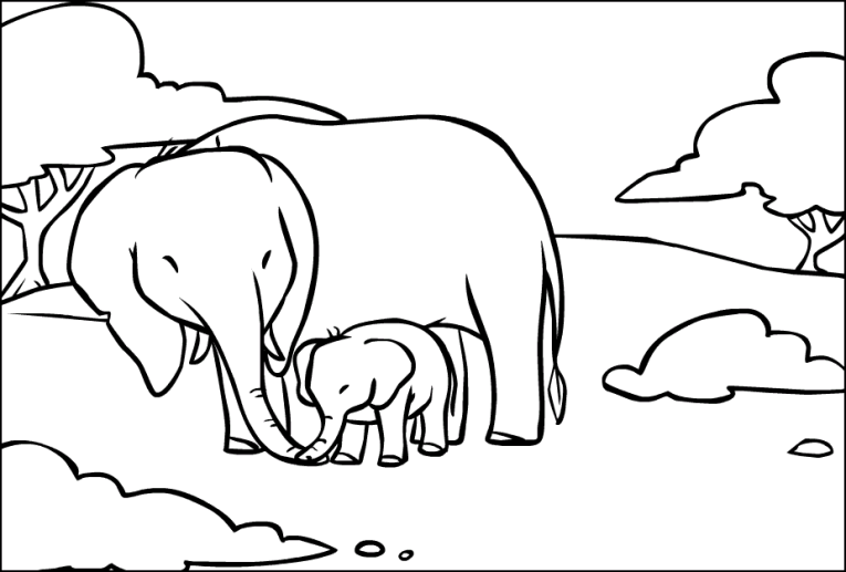 Elefantit 10