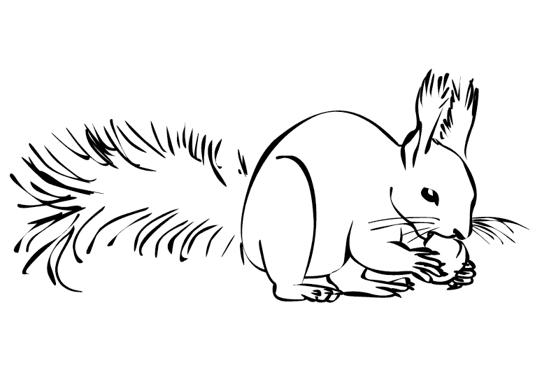 Oravat 6