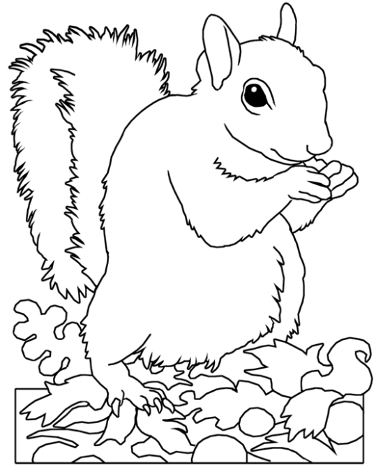 Oravat 7