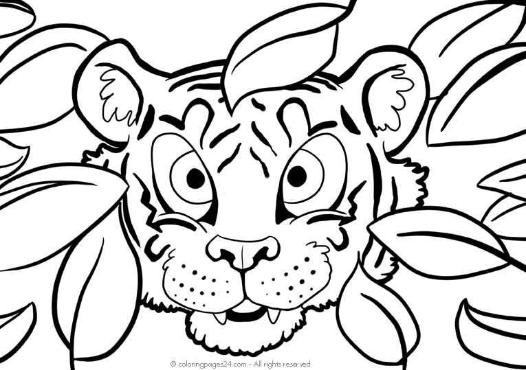 Tiikerit 4
