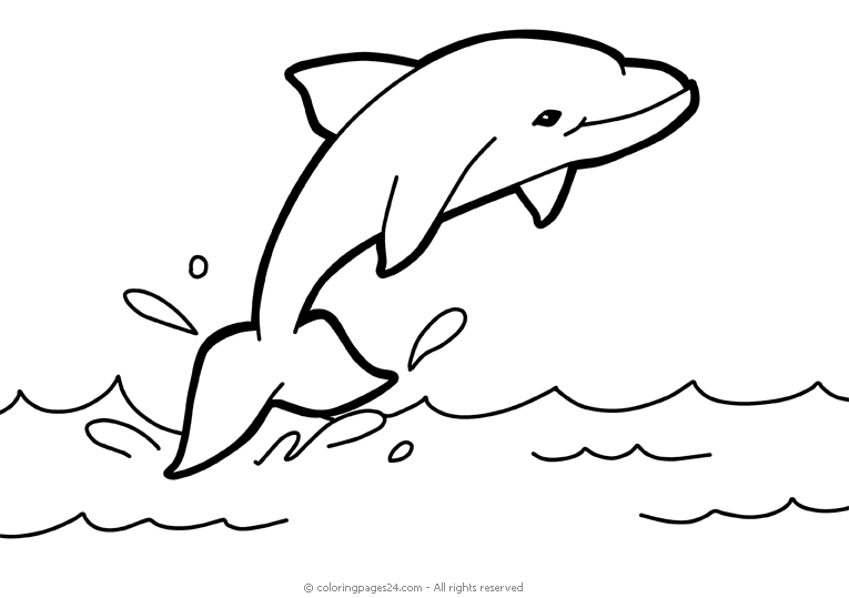 Delfiinit 20