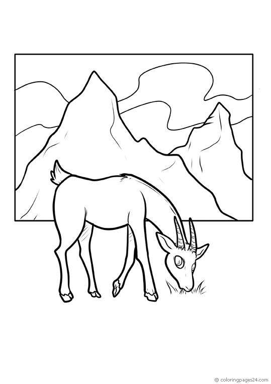 Antiloopit 3