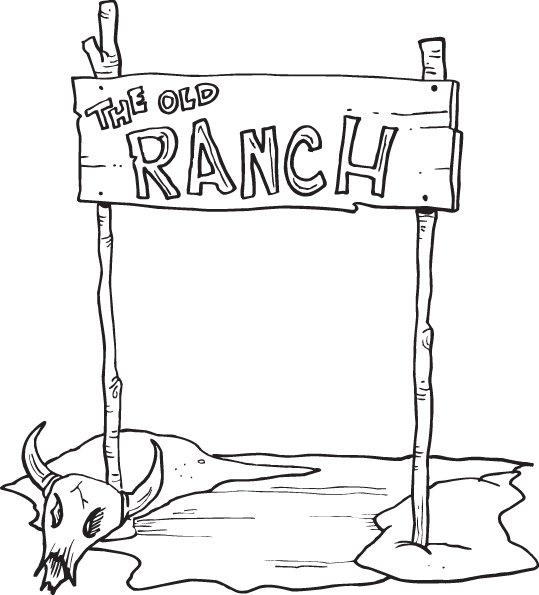 Villi Länsi - Cowboyt 49