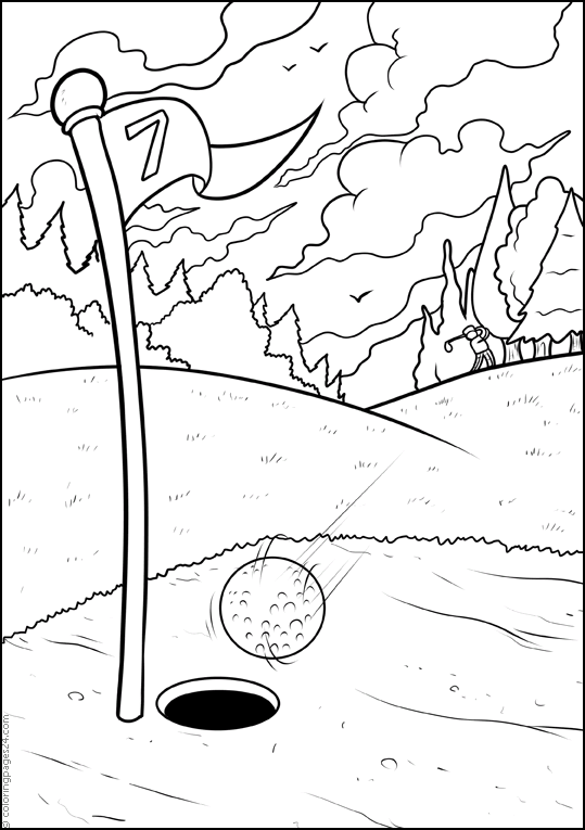 Golf 11
