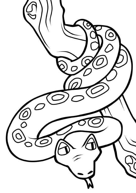 Käärmeet 1