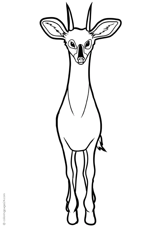 Antiloopit 5