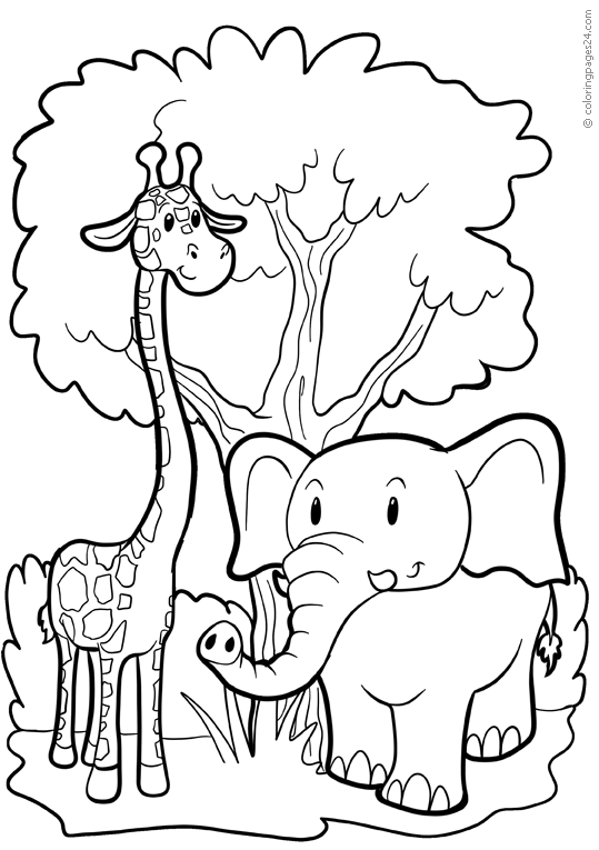 Elefantit 22