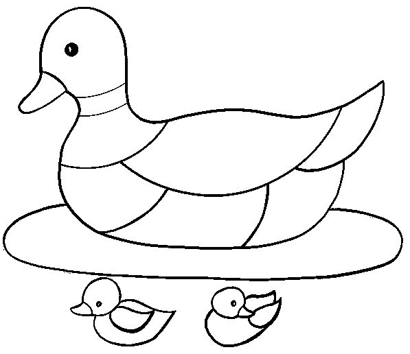 Ankat 3