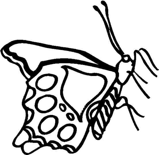 Perhoset 13