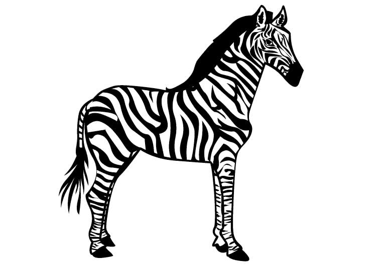 Seeprat 4