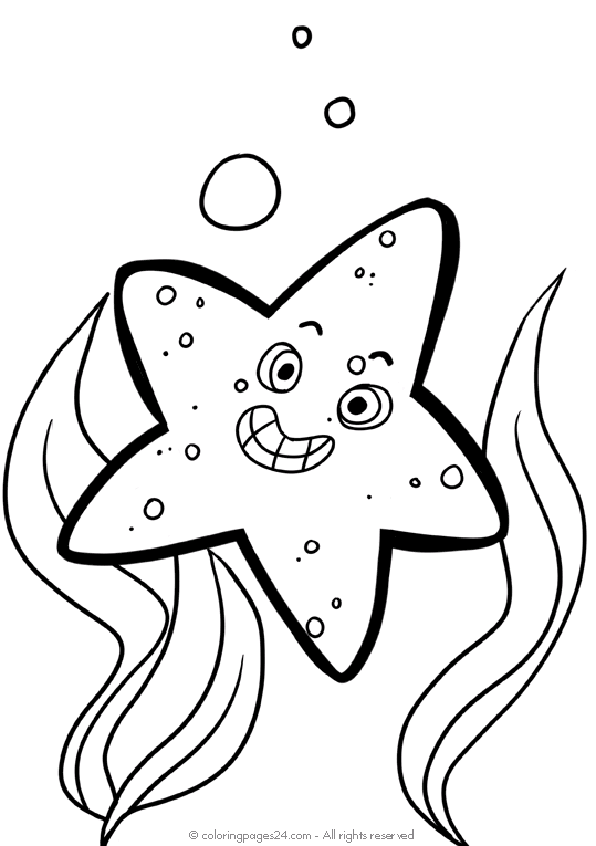 Meritähdet 3