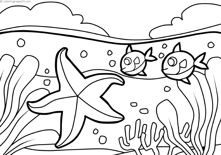 Meritähdet 6