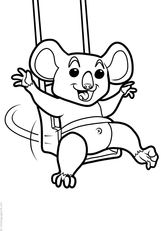 Koala Karhut 5