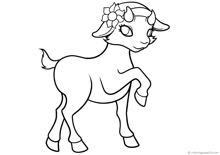 Vuohet 9
